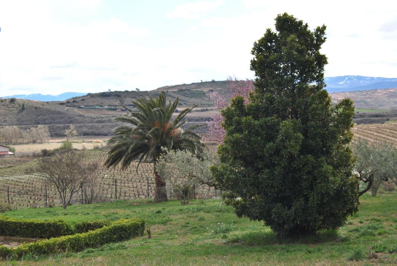 Casa Pichon Etxea Villa La puebla de Labarca Dış mekan fotoğraf